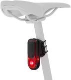GARMIN Varia RearVue 820